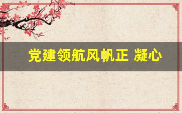 党建领航风帆正 凝心聚力促发展_党建小标题大全摘抄